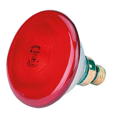 Infrarot Sparlampe "Philips" 175W Jetzt Bestellen