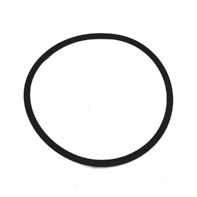 Dichtung / O Ring Dairymaster Waschbaum Knallerangebot