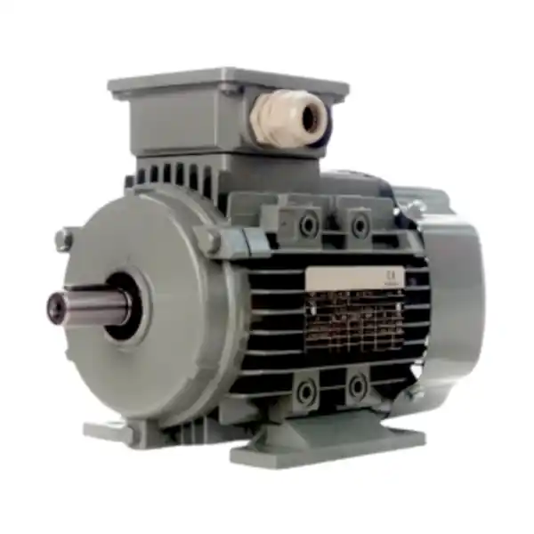 Motor Milchpumpe 0,55 kW 380V Lemmer Fullwood Saisonangebot