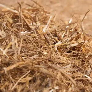 Weizenstroh Einstreu gehäckselt für Pferde und Kleintier 20kg Nur Heute