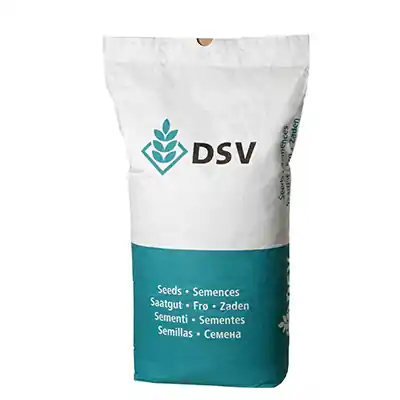 Angebot RSM 3.10 10kg für 400 m² Sportplatzrasen Neuanlage DSV Rasensamen