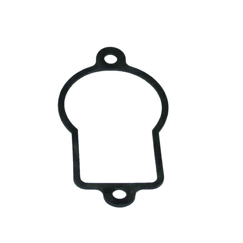 Bestseller RAU  Dichtung für RAU Filtergehäuse RG00011889