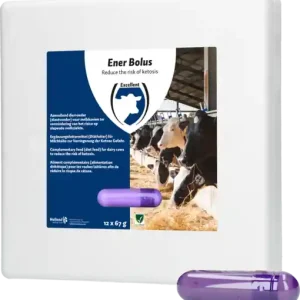 Günstig HAC Ergänzungsfuttermittel Ener Bolus - 12 Stück 1 kg
