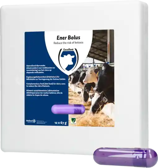 Günstig HAC Ergänzungsfuttermittel Ener Bolus - 12 Stück 1 kg