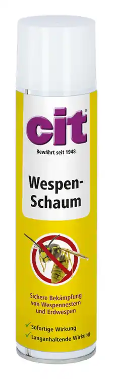 Begrenztes Angebot Wespenschaum
