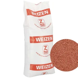 Winterweizen Saatgut Asory ZS (A-Weizen) Günstig