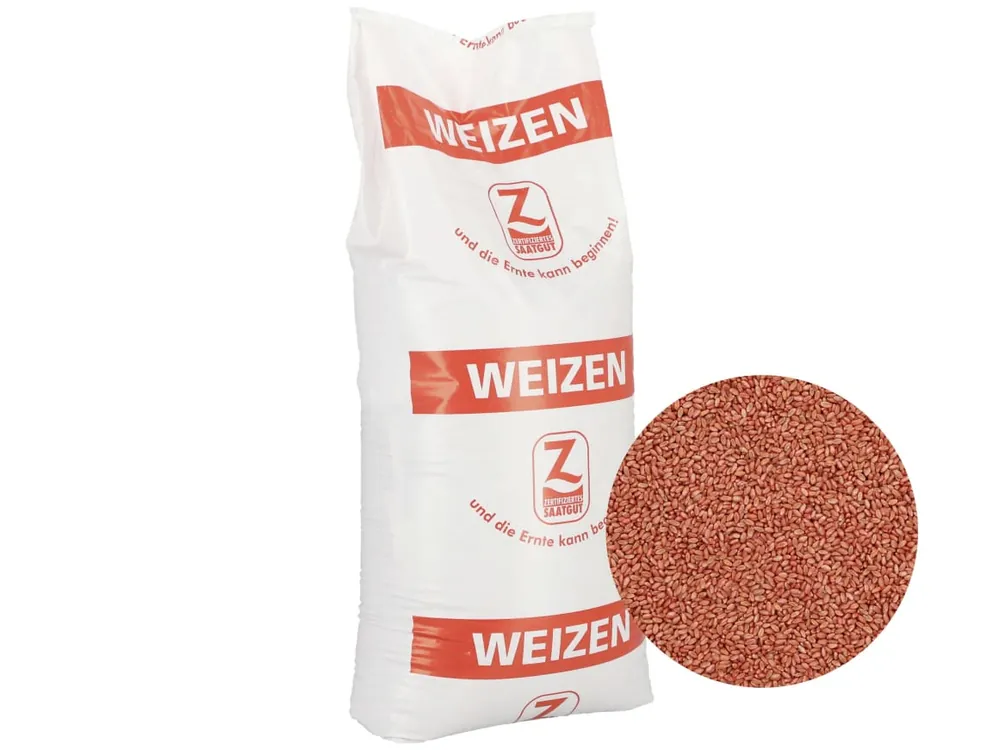 Winterweizen Saatgut Asory ZS (A-Weizen) Günstig