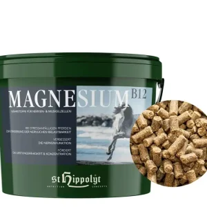 Markenprodukt St. Hippolyt Magnesium B12 mit Biotin und Kräutern