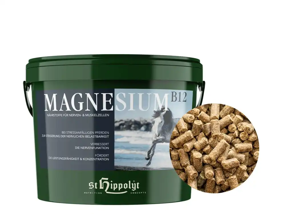 Markenprodukt St. Hippolyt Magnesium B12 mit Biotin und Kräutern