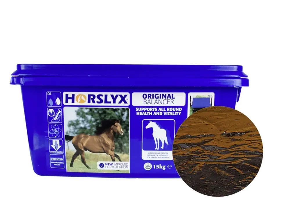 DERBY® Horslyx Original schmackhafte Leckmasse für Pferde Markenware