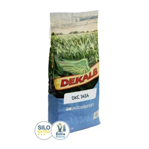 Solange Der Vorrat Reicht Mais-Saatgut Dekalb DKC 3414 (S 250; ca. K 240)