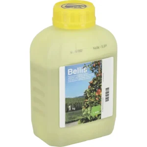 Garantierte Lieferung BASF Bellis