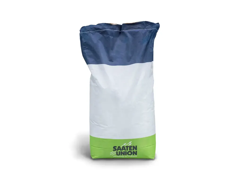 Mais-Saatgut Saaten Union WESLEY (S 210; K 240) Schneller Versand