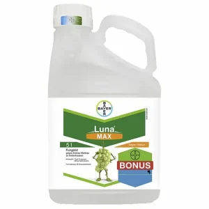 Bayer Luna Max Knallerangebot