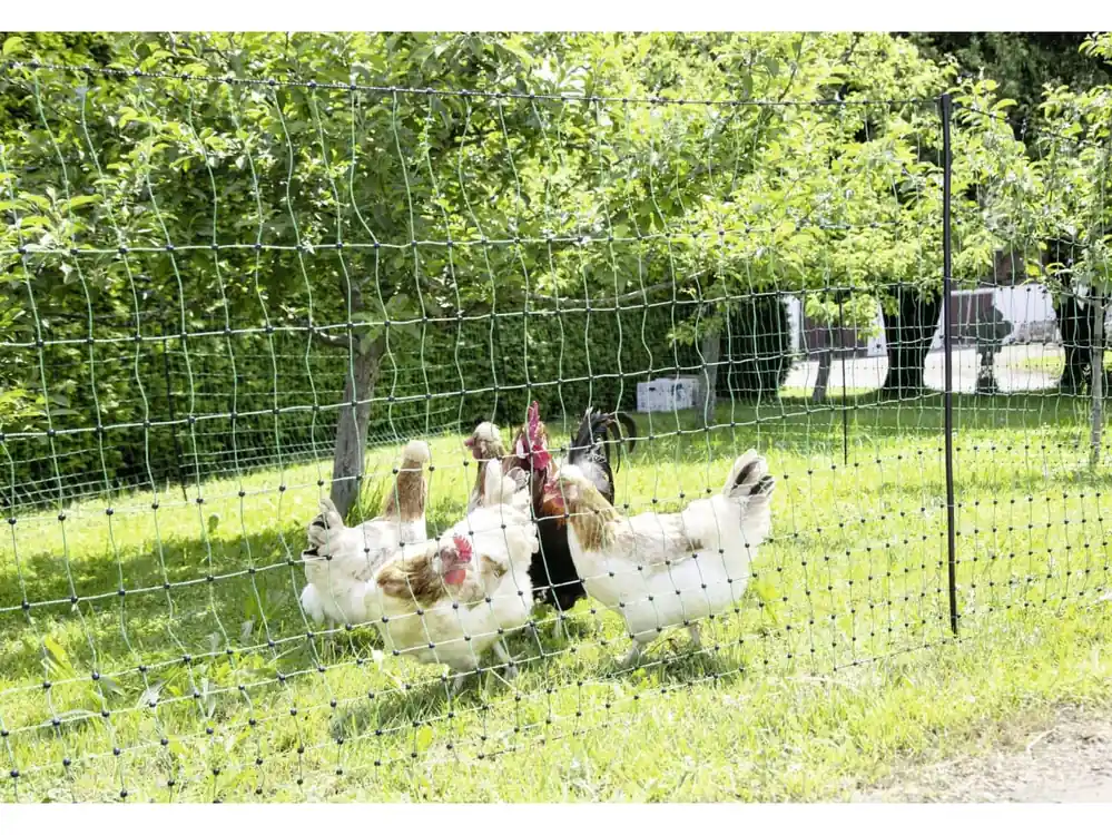 Neu Im Sortiment Ako Geflügelzaun "PoultryNet" stromführend