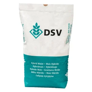 Mais-Saatgut DSV Angeleen (ca. S 230; ca. K 220) Rabatt