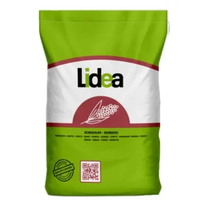 Sorghum Saatgut ARIGATO Knallerangebot