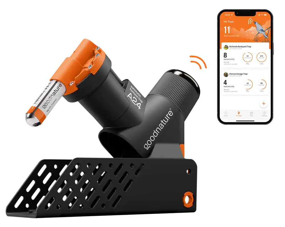Preis Gesenkt Ratten- und Mausefalle A24 Smart-Kit