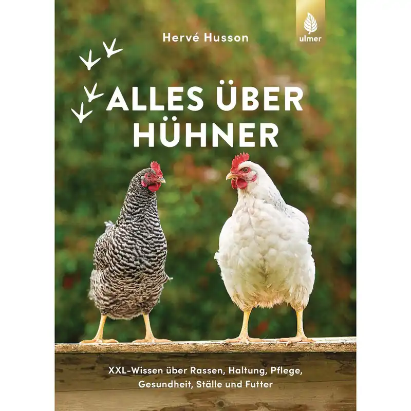 Saisonangebot Alles über Hühner XXL-Wissen