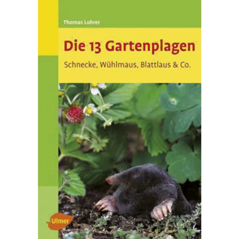 Die 13 Gartenplagen Preisreduziert