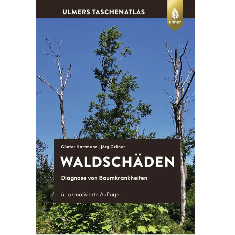 Neue Ware Waldschäden Diagnose von Baumkrankheiten