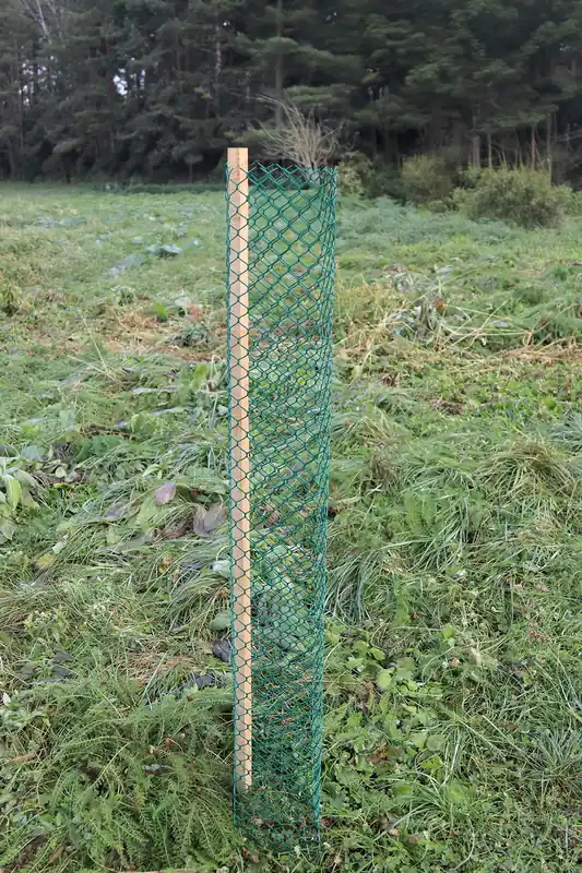 Baumschutzgitter 300 Eco Nadelholz 120 cm Markenprodukt
