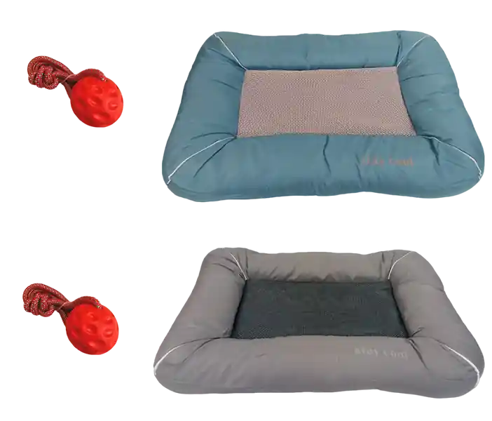 Online Kaufen Stay Cool Set Selbstkühlendes Hundebett Aqua / Lava Kühlmatte Hund mit Ball Red