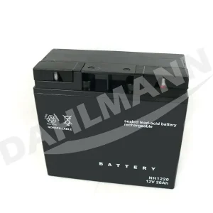 Top-Seller Batterie Starterbatterie GEL 12 Volt 20 Ah für CASTEL GARDEN Rasentraktor MPS 84