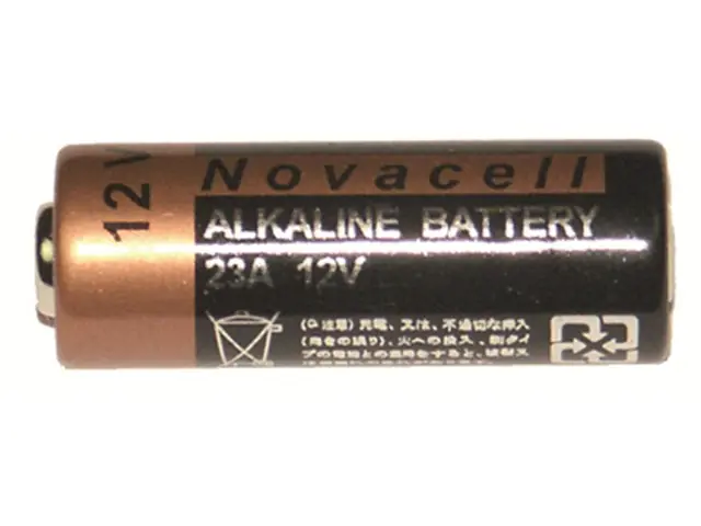 Sichere Zahlung Batterie Alkaline 12V 38 mAH