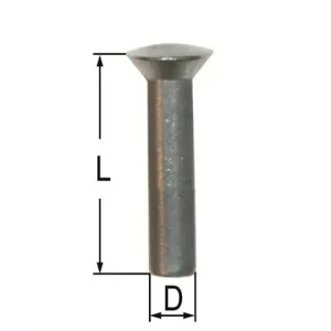 Linsensenkkopf-Nieten 6,0 x 23 0,5 kg Super-Preis