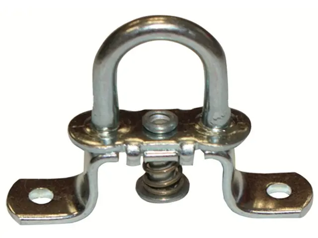 Schnäppchen Drehverschluss für Ovalöse 42 x 22 LA=51mm