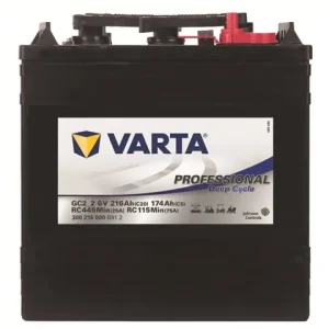 Direktkauf Batterie GC2 6V 240AH