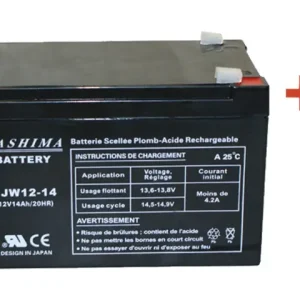 Saisonangebot Batterie 12V 14Ah L=151 B=98 H=94mm