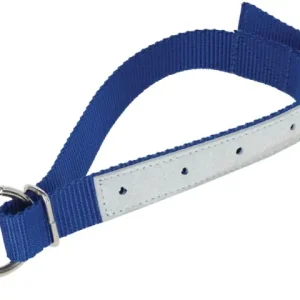 Halsriemen blau 2,5 x 60cm mit D-Ring für Schafe Ausverkauf