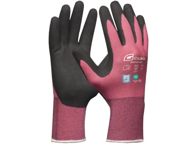 Preiswert Handschuh Gr.7 Master Flex Lady