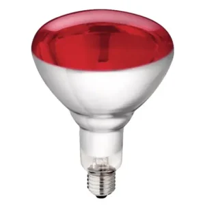 Hartglaslampe Philips 150W 240V, rot Super-Preis