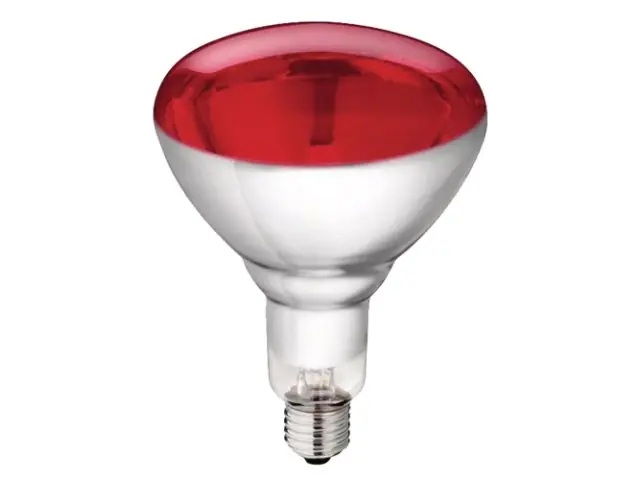 Hartglaslampe Philips 150W 240V, rot Super-Preis