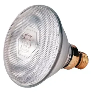 Garantierte Lieferung Sparlampe Philips 175 W, 240 V, klar