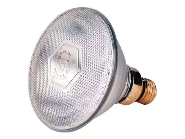 Garantierte Lieferung Sparlampe Philips 175 W, 240 V, klar