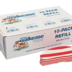 Ersatzklötze small 10er Pack Sonderangebot