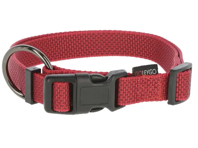 Set GoLeyGo 2.0 Halsband rot 40-65 cm + Leine 140-200 cm x 20 mm Super-Preis