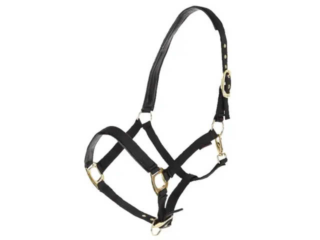 Direktkauf Halfter "Top Line" Cob mit 2 Dornschnallen schwarz