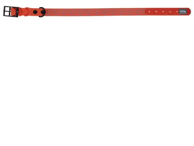 Top-Preis Halsband Puno, orange, 25mm x 36 - 45 cm