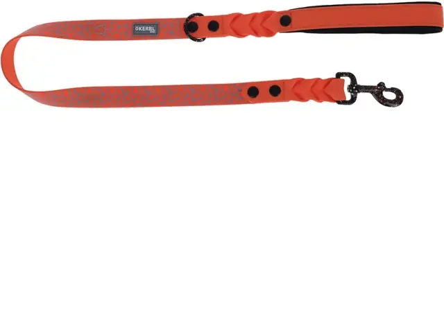 Leine Puno, orange, 25mm x 100 cm Expressversand