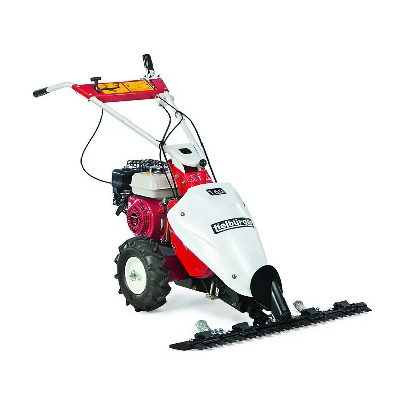 Tielbürger Balkenmäher t60 Briggs&Stratton Intek Preiswert
