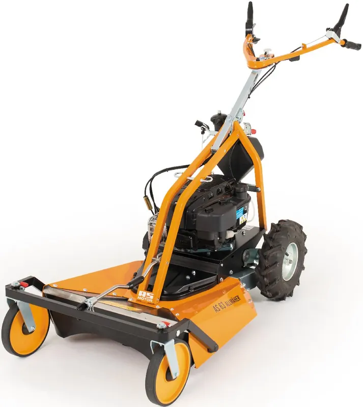 AS-Motor Profi Allmäher 63 4T Briggs&Stratton Heißes Angebot