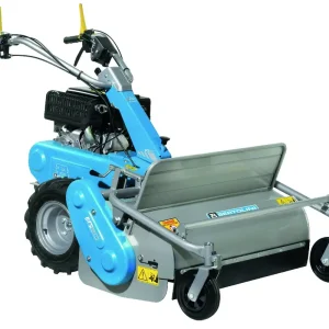 Bertolini Schlegelmäher BTS 80 GX340 Abverkauf