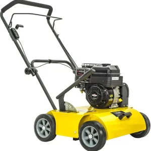 Texas Benzin-Vertikutierer Pro Cut 460B B & S Motor Neu Im Sortiment