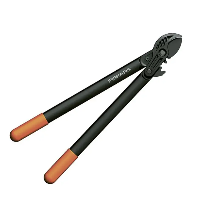 Amboss-Getriebeastschere Must-Have