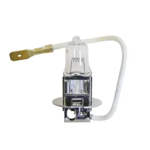 Scheinwerferbirne "H3", 24V, 70W Echt